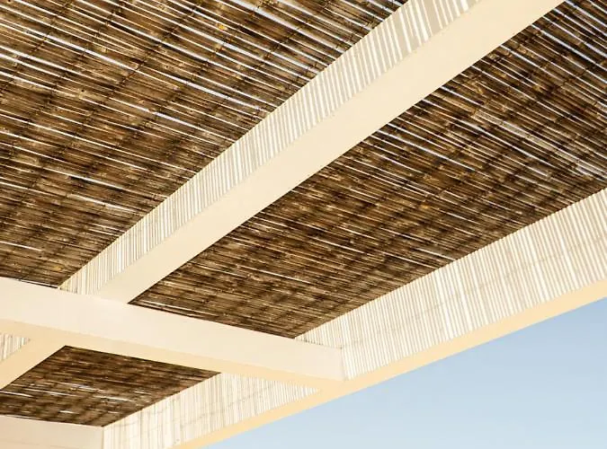 Lejlighed Joco Mykonos Nature Suites N5